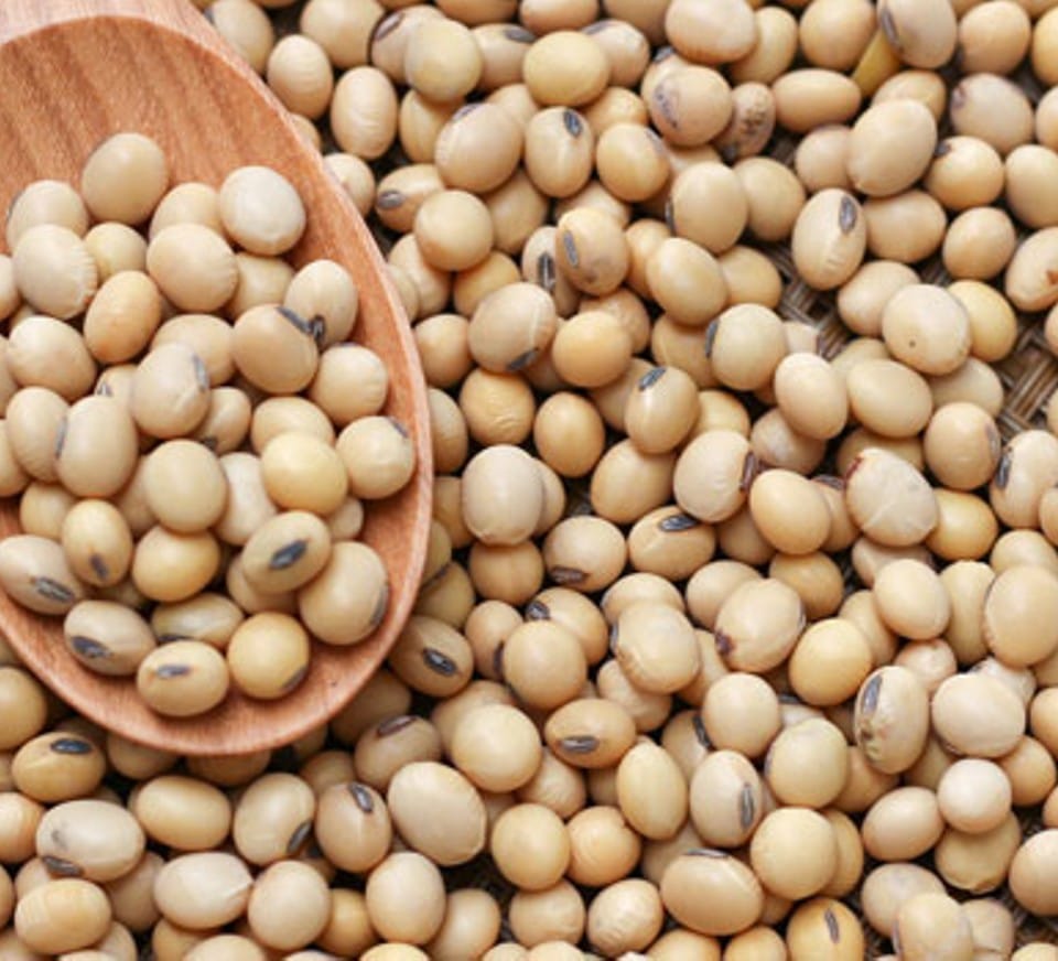 Soya beans